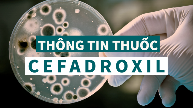 Cefadroxil: Thông tin thuốc, chỉ định, chống chỉ định, tác dụng phụ và liều lượng điều trị bệnh