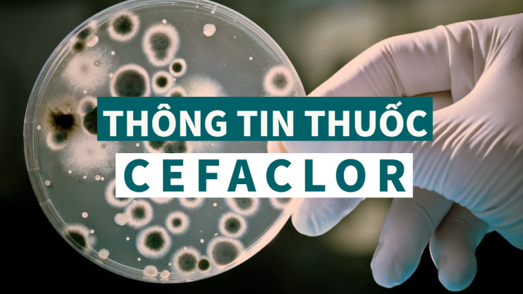 Cefaclor: Thông tin kháng sinh, chỉ định, chống chỉ định, tác dụng phụ và liều lượng